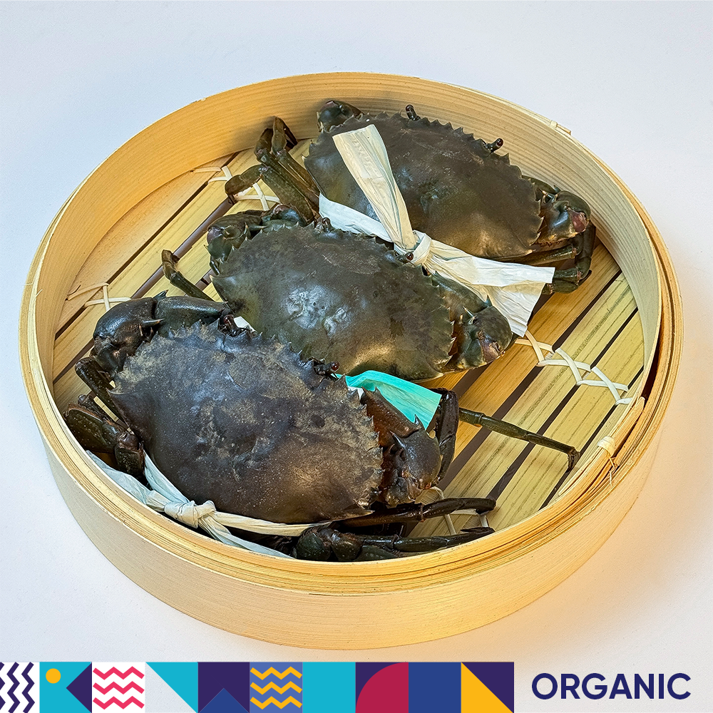 Cua Gạch Cà Mau 4 con/Kg - Ảnh 9