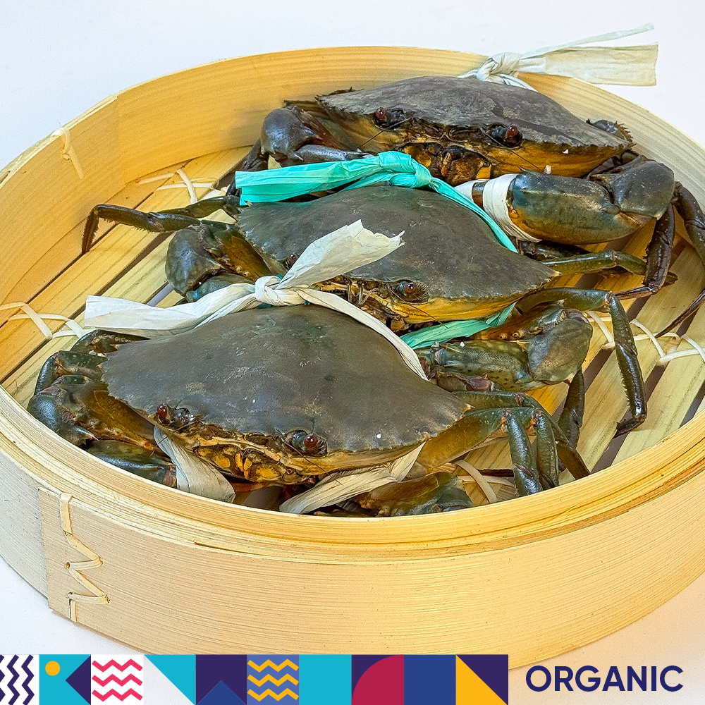 Cua Gạch Cà Mau 4 con/Kg - Ảnh 7