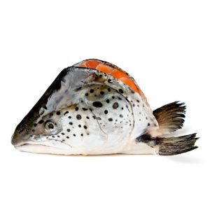 Đầu cá hồi tươi Nauy